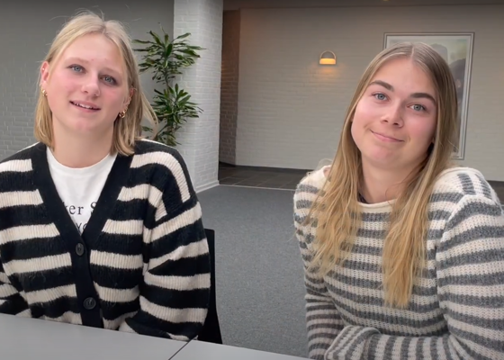 Velkomstvideo Screendump Ringk.